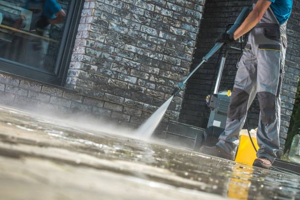 Best Soft Washing  in Polk City, IA